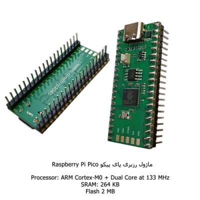 ماژول رزبری پای پیکو مهندسیکا